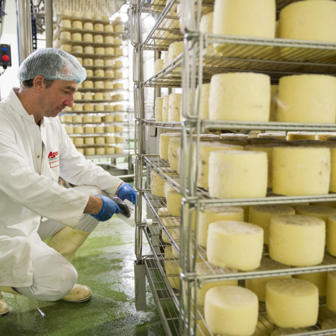 fromage_agour